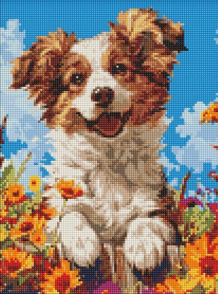 Алмазная мозаика без подрамника Ideyka Собака в цветах 30x40 см (Id-AMC8022)