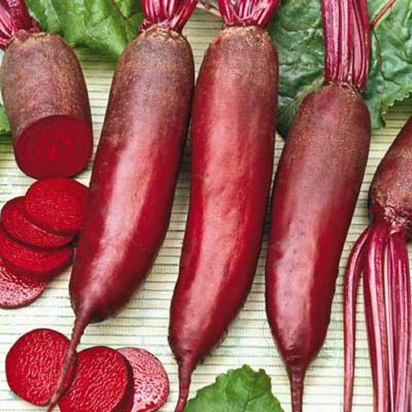 Семена Свекла Цилиндра ТМ Агроном ТД Гекса-Украина 100 г 01-19-051 (IR00587)