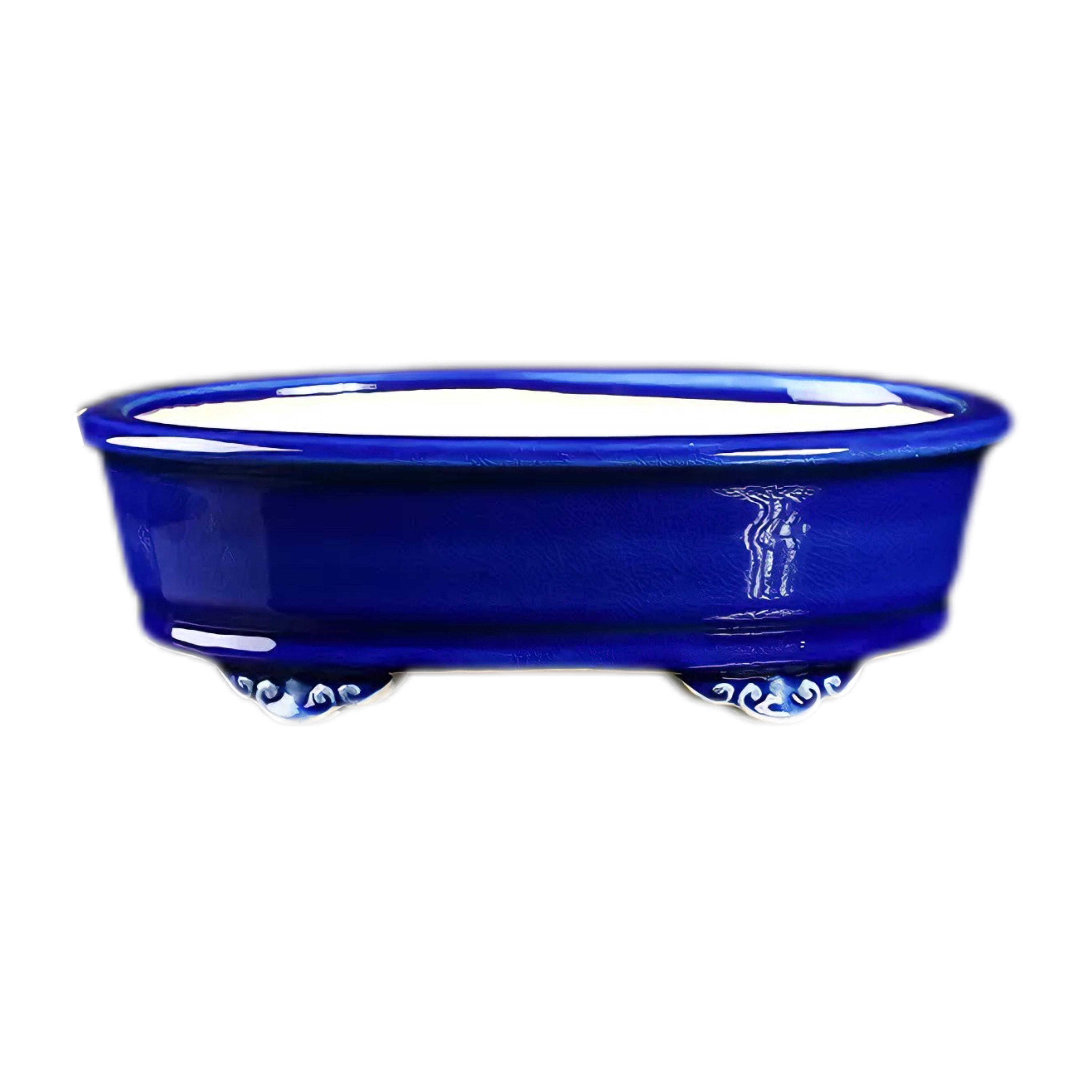 Бонсайниця велика Імператорська 27х25,5х7,8 см Синій