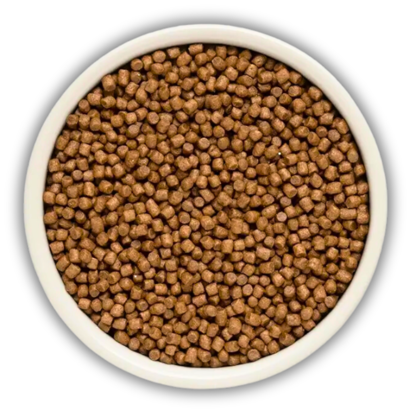 Корм для щенков сухой Grandorf Ягненок и индейка для щенков всех пород 10 кг (91110) - фото 2 Корм для щенков сухой Grandorf Ягненок и индейка для щенков всех пород 10 кг (91110) - фото 2