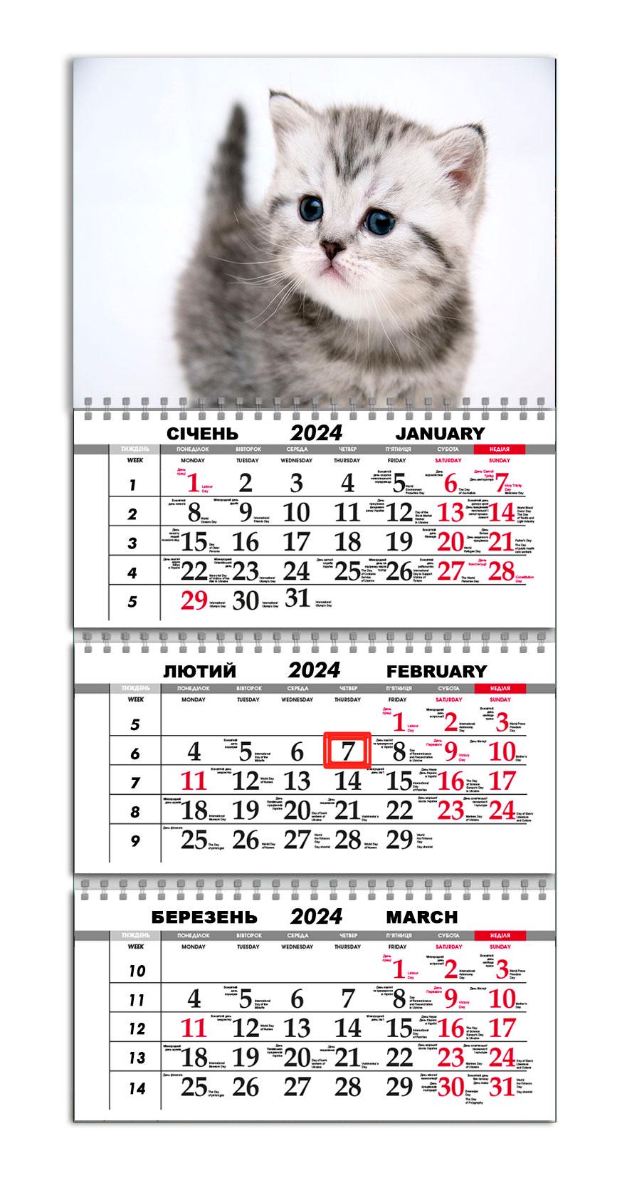 Календар APRIORI квартальний на 2024 рік Кіт 30х61 см (UA968)