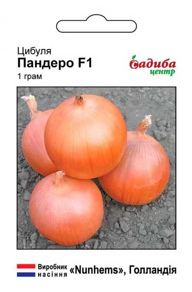 Насіння цибулі ріпчастої СЦ Пандеро F1 1 г (1609)
