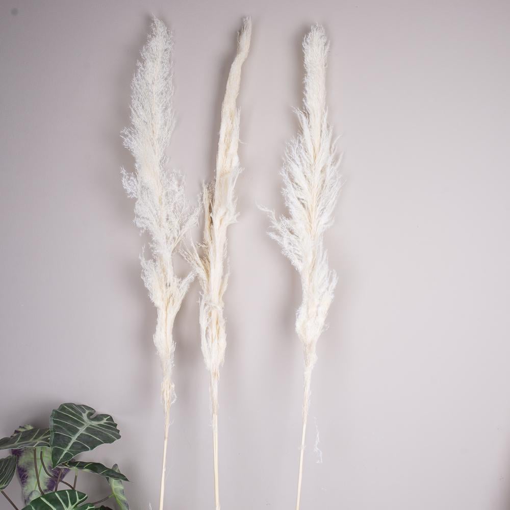 Гілка пампасу середня 100 см 3 шт. (ST00206) - фото 2