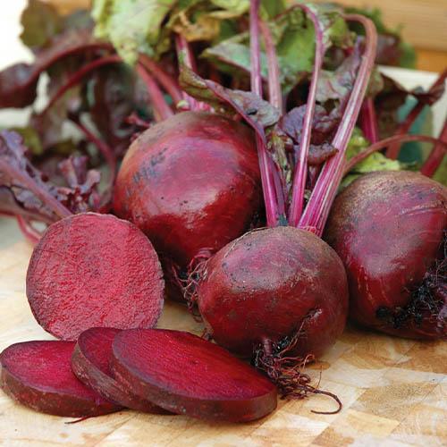 Семена Свекла Florium Болтарди столовая (4845)