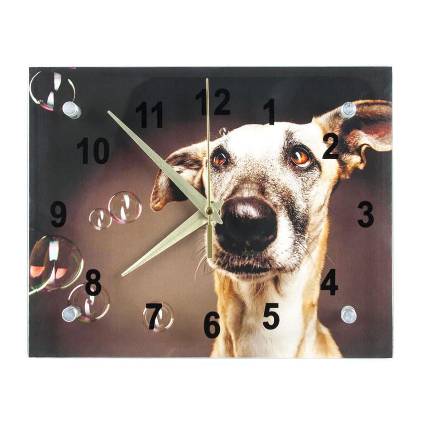 Часы настенные Любитель мыльных пузырей 21х26х5 см (21884)