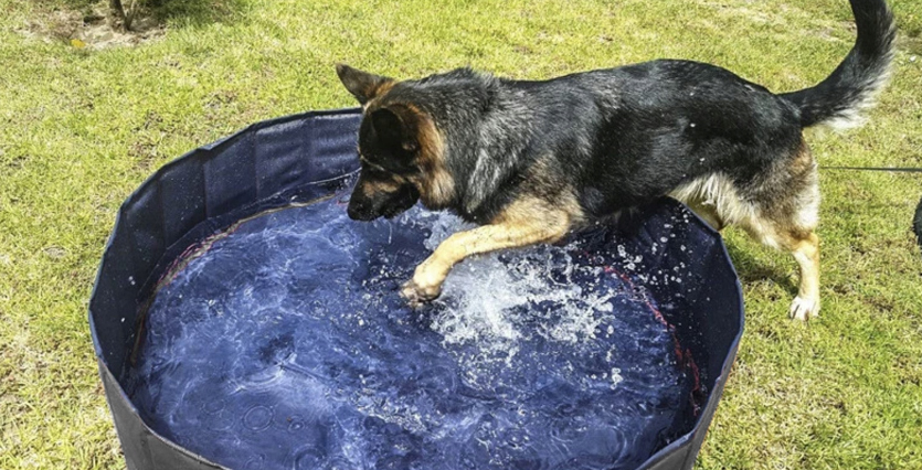 Басейн для собак Purlov XL 120x30 см - фото 7 Басейн для собак Purlov XL 120x30 см - фото 7