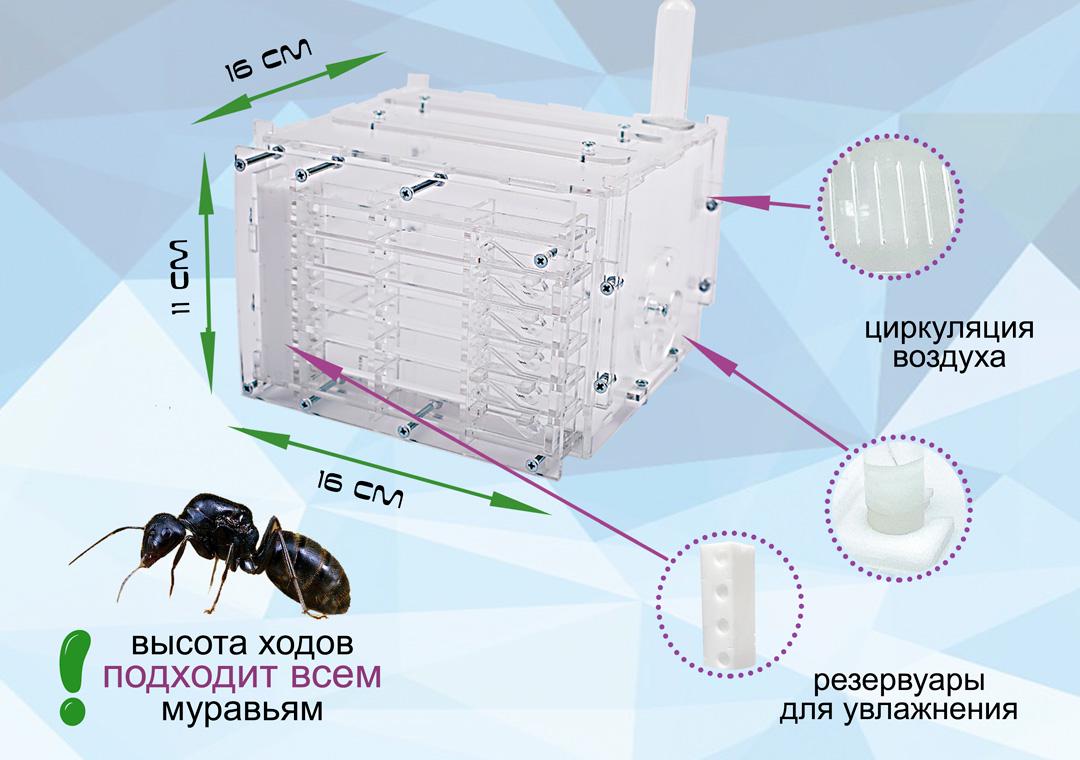 Комплект ANT-LIVE Небоскреб mini с муравьиной фермой и муравьями (54bdcf42) - фото 2