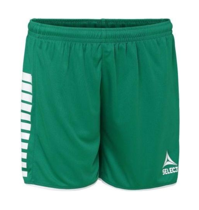 Шорты Select Argentina player shorts 2XL Зеленый (622540-070)