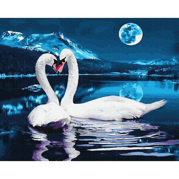 Картина по номерам Brushme GX28455 Лебединая ночь 40х50 см (1395022688)