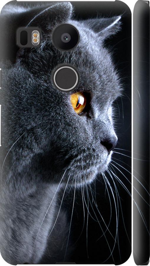 Чехол на LG Nexus 5X H791 Красивый кот (3038m-150-42517)
