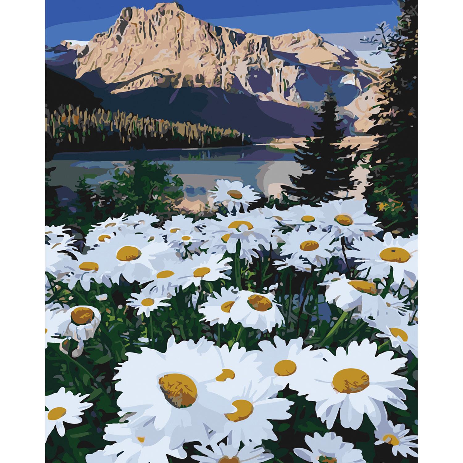 Картина по номерам Strateg Поляна среди гор 40х50 см (SY6082)