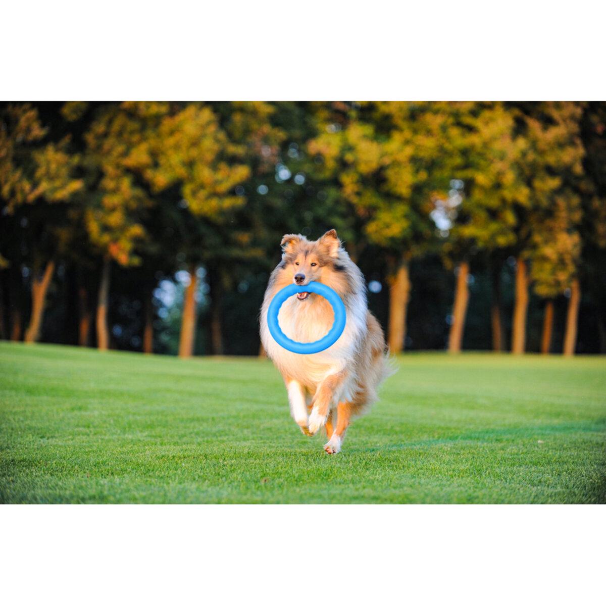 Кільце для апортировки PitchDog30 D 28 см Блакитний (25881062) - фото 6