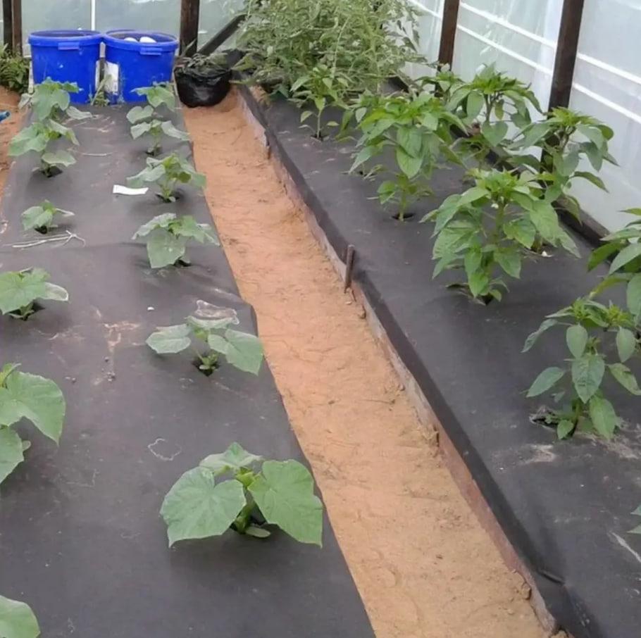 Геотекстиль для мульчування Shadow 150 г/м2 1,2х50 м Чорний (iz16428) - фото 3 Геотекстиль для мульчування Shadow 150 г/м2 1,2х50 м Чорний (iz16428) - фото 3