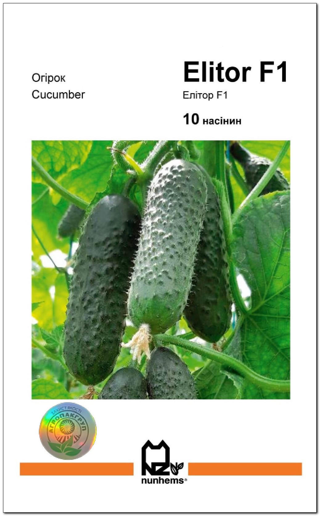 Насіння огірка Nunhems Елітор F1 10 шт. (13739)