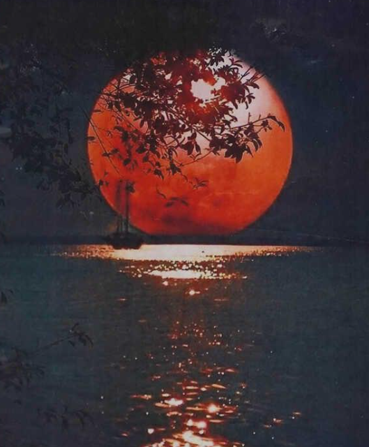 Картина за номерами TK Group 30285 30 Місяць (110705)