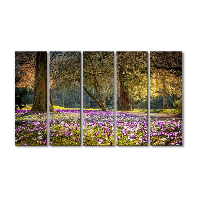 Картина модульная Весна парк Крокусы 5 модулей 120x180 см