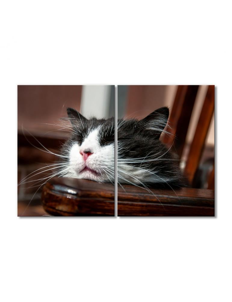 Картина модульная Спящий кот 2 модуля 80x120 см