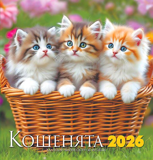 Календар на 2026 р. Барви світу Кошенята