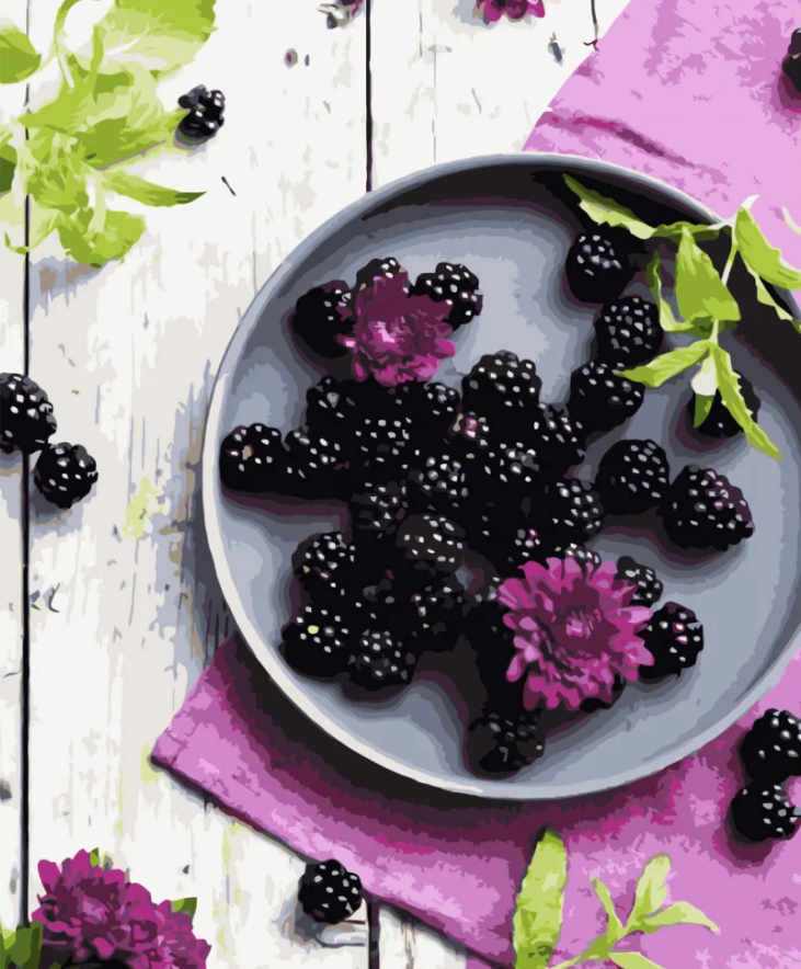 Картина по номерам Strateg Цвет ежевики 40x50 см (VA-3771)