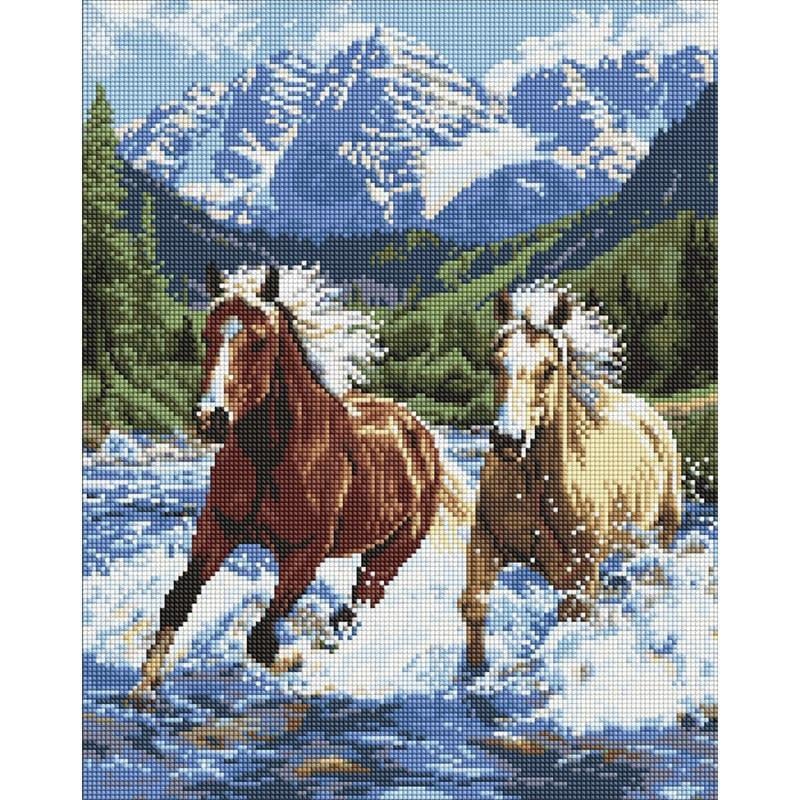 Алмазна мозаїка Ideyka Сила у русі 40x50 см (AMO20010)