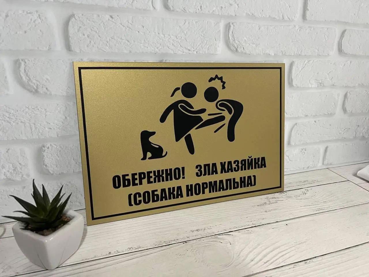 Табличка металева "Зла господиня, собака нормальна" 20 х 30 см (МФС-051)