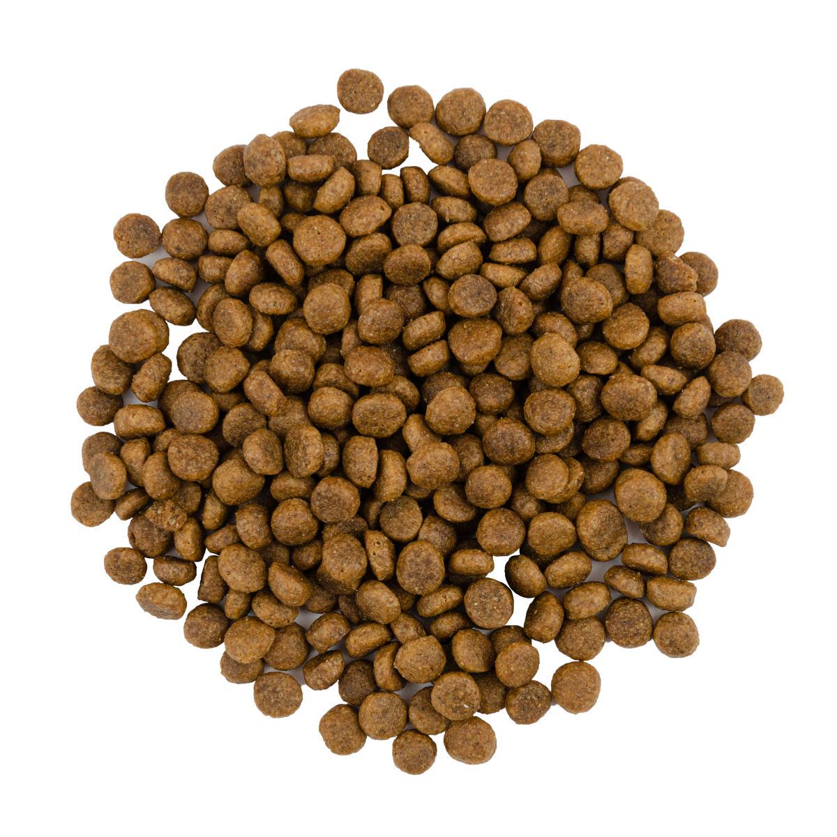 Корм для кошек требовательных Savory Gourmand Fresh Turkey & Duck с индейкой и уткой 8 кг (30068) - фото 3 Корм для кошек требовательных Savory Gourmand Fresh Turkey & Duck с индейкой и уткой 8 кг (30068) - фото 3