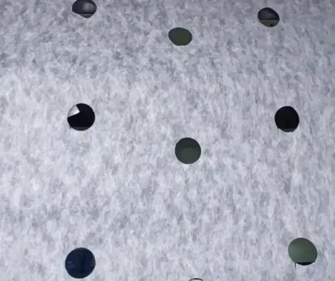 Агроволокно с перфорацией Shadow 50 г/м2 1,6x100 м 3 отверстия Черно-белый (27343189) - фото 8 Агроволокно с перфорацией Shadow 50 г/м2 1,6x100 м 3 отверстия Черно-белый (27343189) - фото 8