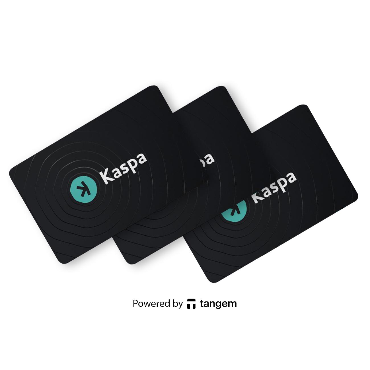 Криптокошелек Tangem Wallet 2.0 Kaspa 3 шт. (TG128X3-K) - фото 5