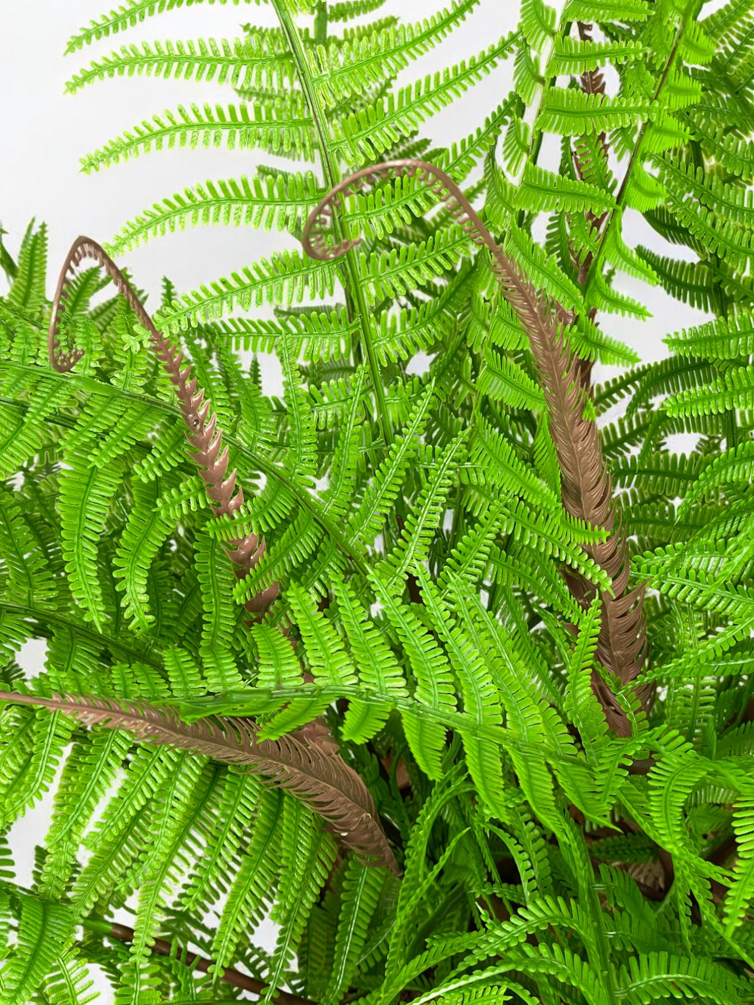 Композиция из искусственного папоротника в белом керамическом горшке Зеленый (А201) - фото 3 Композиция из искусственного папоротника в белом керамическом горшке Зеленый (А201) - фото 3