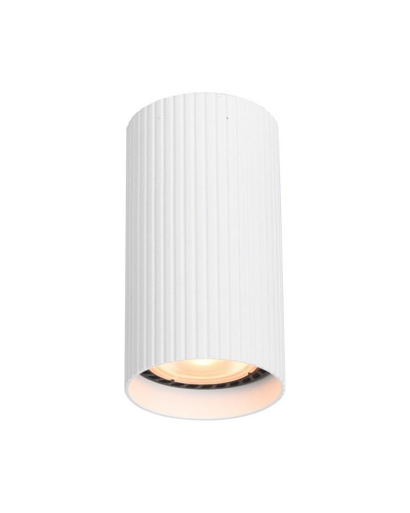 Світильник точковий Italux Rilok GU10 1x10W IP20 Wh (CLN-83920-S-WH)