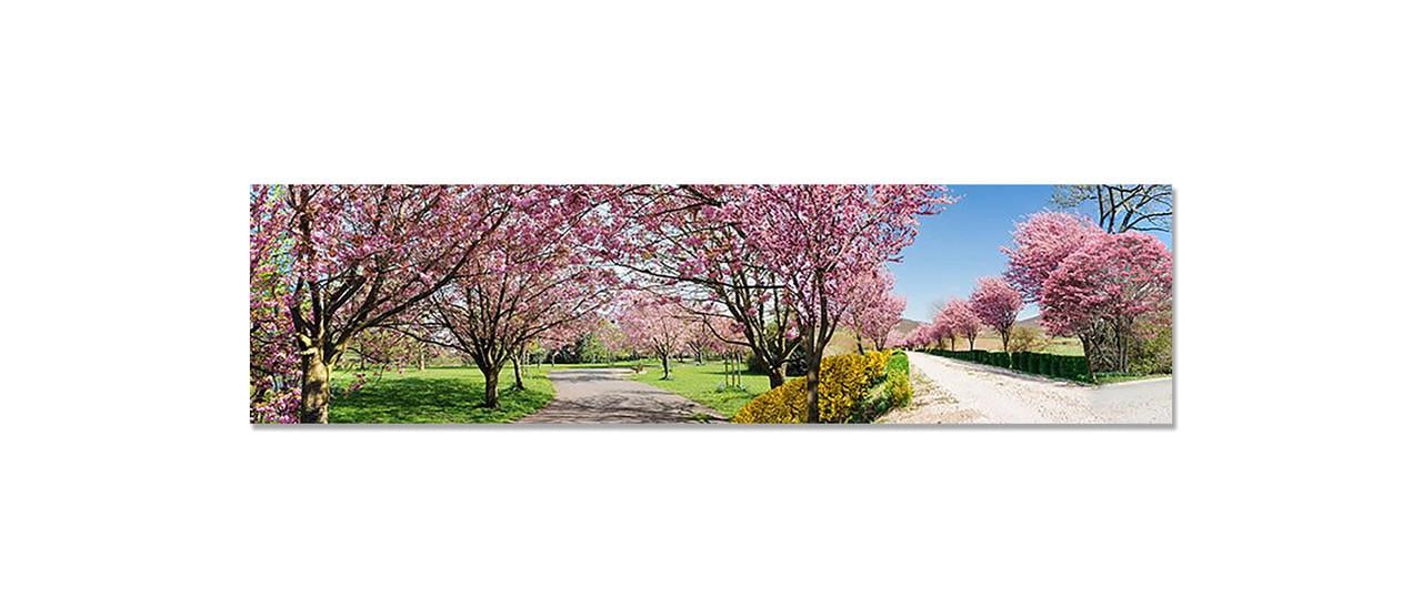 Наклейка виниловая на кухню Zatarga Цветущий сад 650х2500 мм (1274515536) Наклейка виниловая на кухню Zatarga Цветущий сад 650х2500 мм (1274515536)