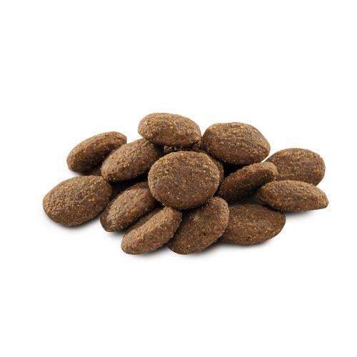 Корм сухой Brit Premium Dog XL для взрослых собак гигантских пород с курицей 3 кг