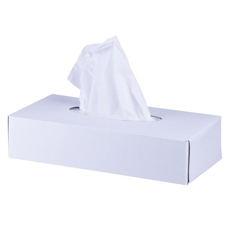 Серветки косметичні Ruta Professional No Name двошарові 100 л Білий