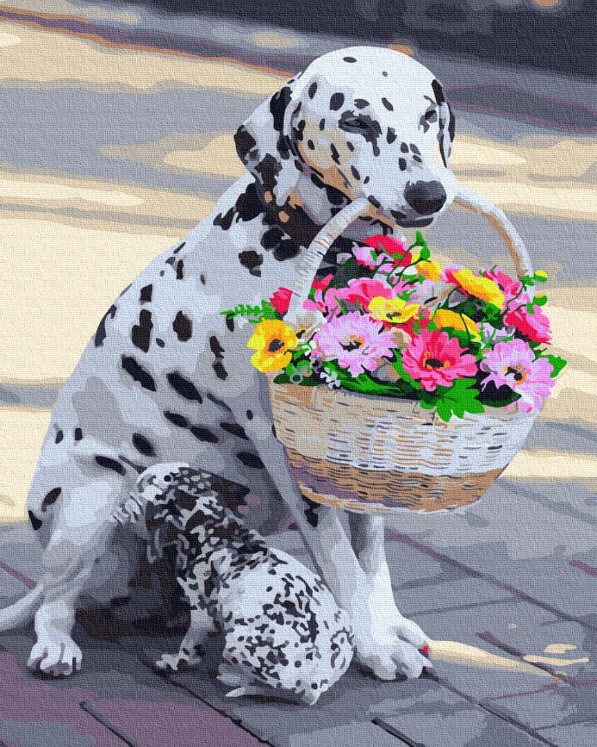 Картина по номерам Brushme GX31012 Далматинец с цветами 40x50 см (1313275478) Картина по номерам Brushme GX31012 Далматинец с цветами 40x50 см (1313275478)