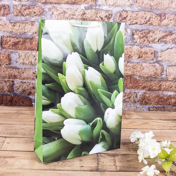 Подарочный пакет Тюльпаны 25x38x8 (5432-4)