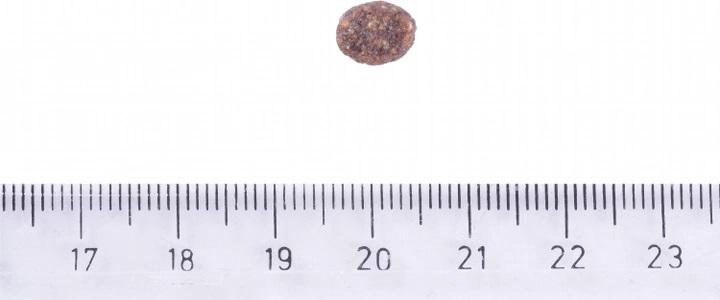 Корм для собак дрібних порід Brit Care Small Breed Lamb гіпоалергенний з ягням 7 кг (916/7) - фото 3 Корм для собак дрібних порід Brit Care Small Breed Lamb гіпоалергенний з ягням 7 кг (916/7) - фото 3