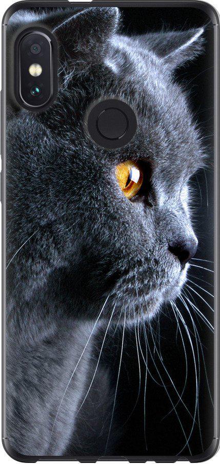 Чехол на Xiaomi Redmi Note 5 Красивый кот (3038u-1516-42517)