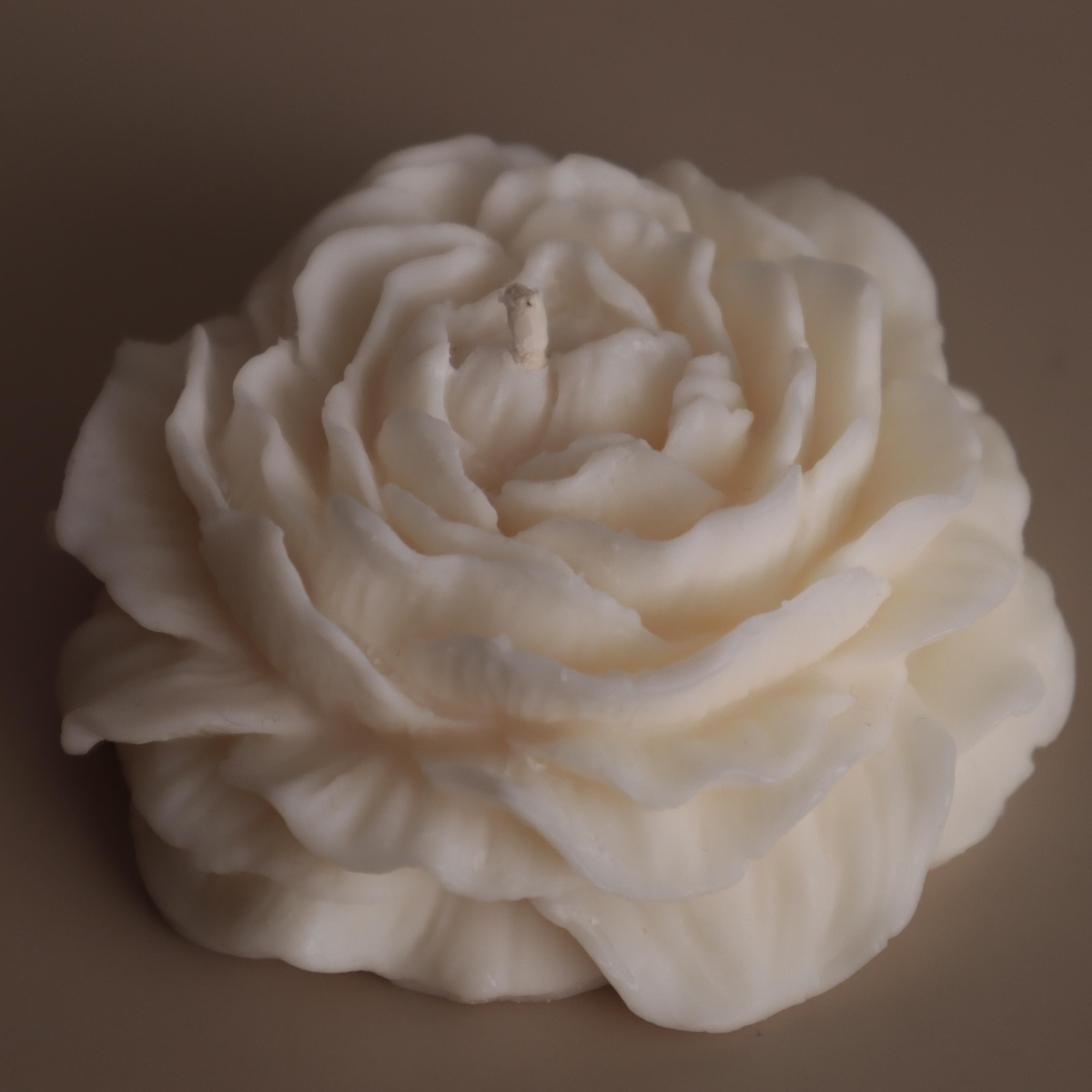 Аромасвічка соєва Wax Harmony Ваніль півонія (1000331) Аромасвічка соєва Wax Harmony Ваніль півонія (1000331)