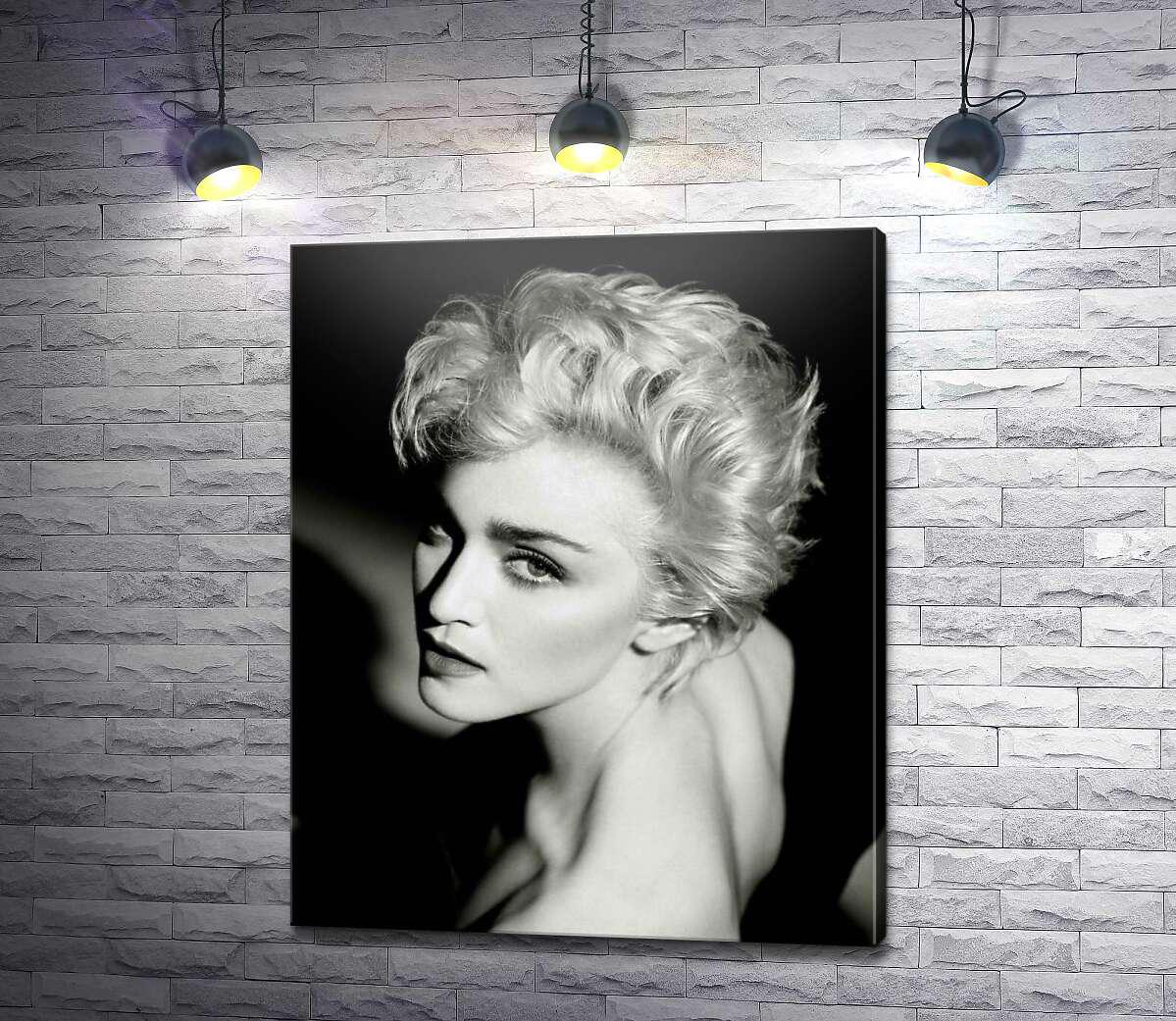Картина ArtPoster Чарующая Мадонна на черно-белой фотографии 40x50 см Модуль №1 (004402)