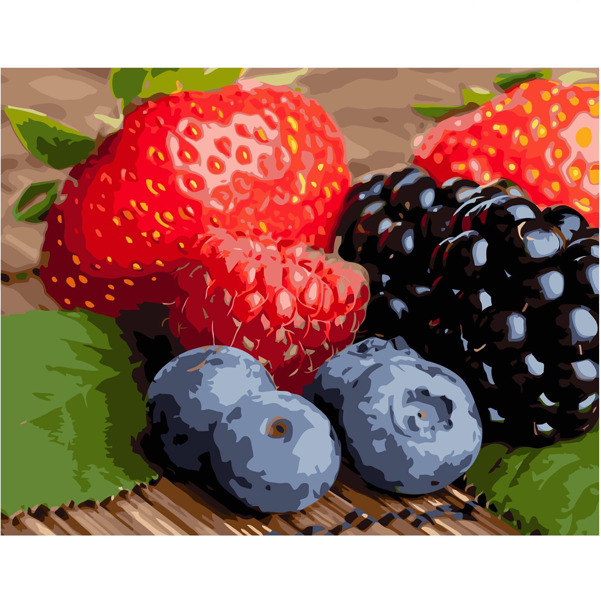 Картина по номерам Strateg Лесные ягоды 40x50 см (VA-1910)