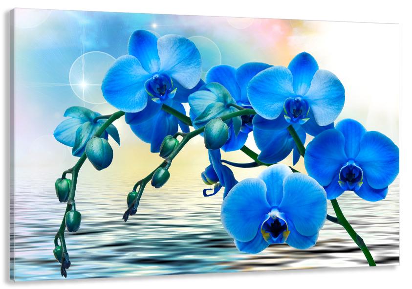 Картина на холсте в гостиную/спальню Орхидея 60х100 см (MLP_119)