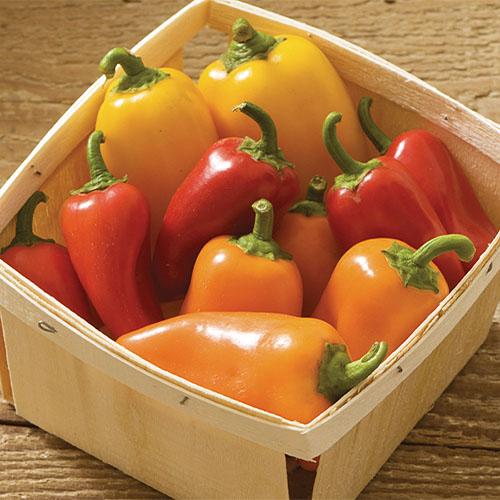 Семена Перець Florium Золотий самородок (17116)