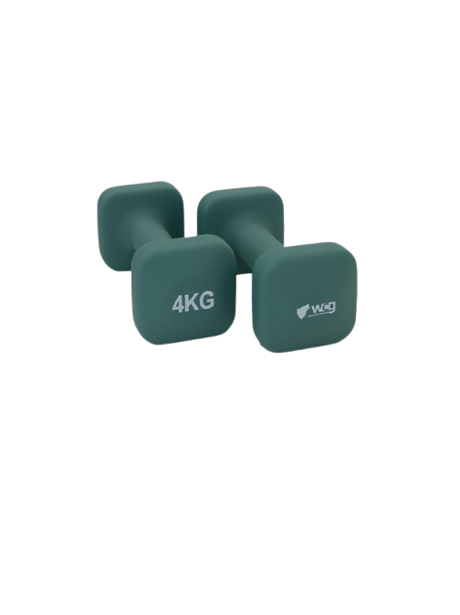 Гантелі для фітнесу WCG NeoCube 4 кг/2 шт. (28433774)