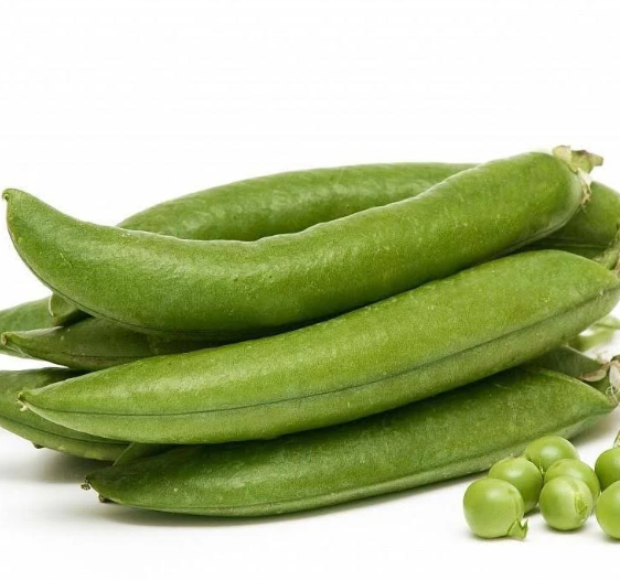 Семена Горох Овочевої Амалфі ТД Гекса-Україна 01-03-056 100000 шт. (IR02132)