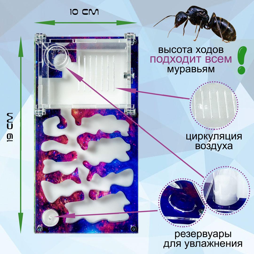 Комплект ANT-LIVE Smart "космос" з мурашиною фермою та мурахами (c1d35462) - фото 2