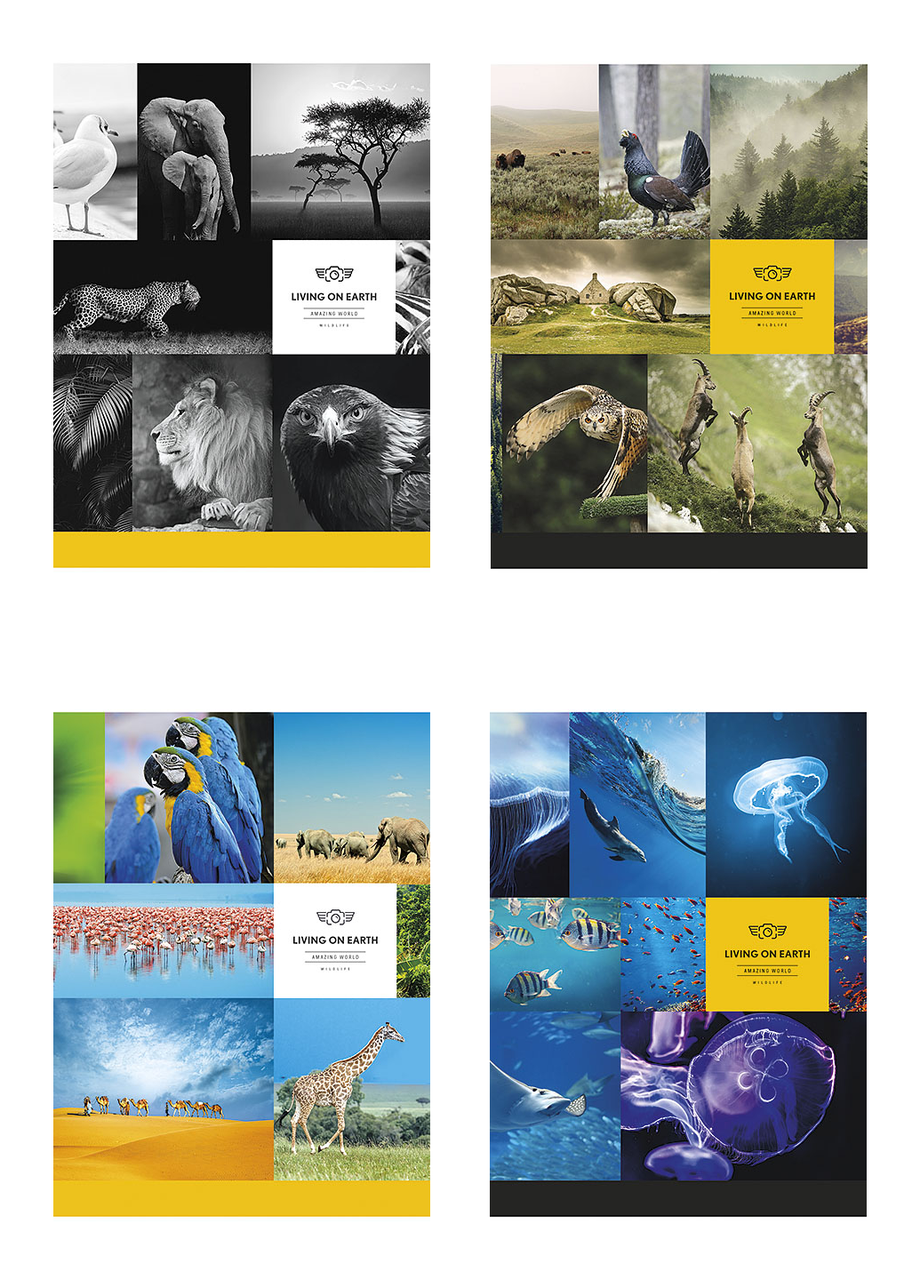 Тетради общие Школьник в линию А5 80 л. 4 шт. (5057 4823088207736)