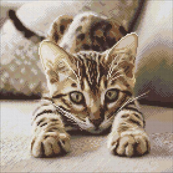 Алмазная мозаика Ideyka Игривый котенок 40х40 см (AMO20280)