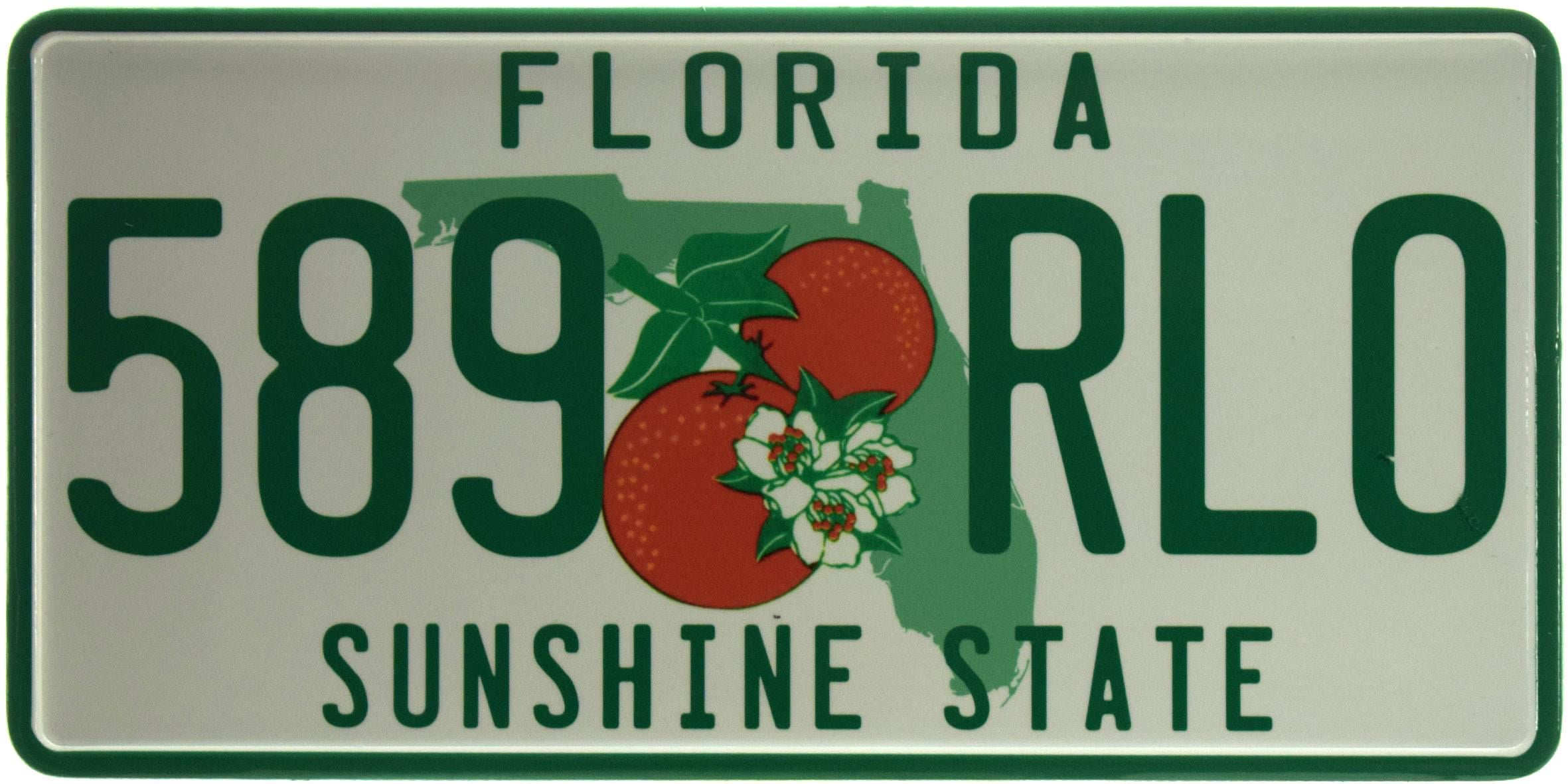 Табличка металлическая "Florida 589 RLO" 15x30 см (ms-103740)