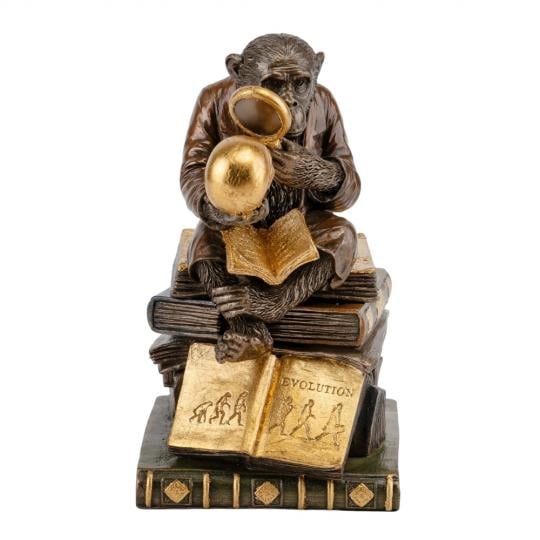 Скринька Мавпа Дарвіна колекція Veronese 17 см (76129A5)