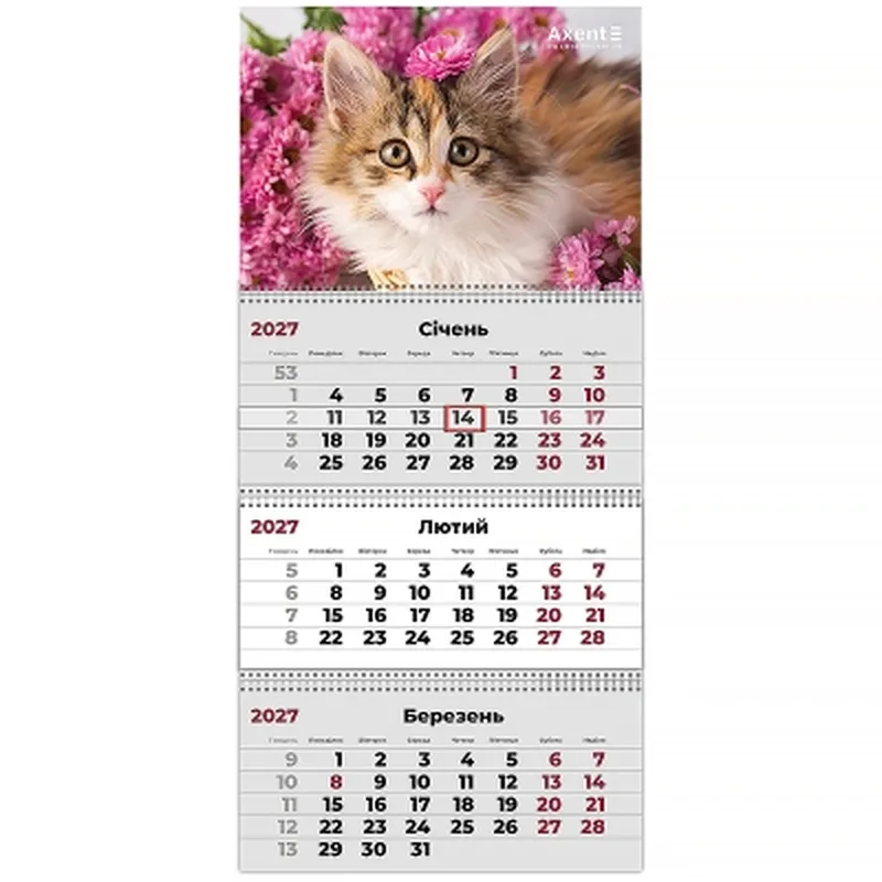 Календар настінний квартальний Axent Cats 3 2027 рік 3 пружини (8803-27-9-A) Календар настінний квартальний Axent Cats 3 2027 рік 3 пружини (8803-27-9-A)